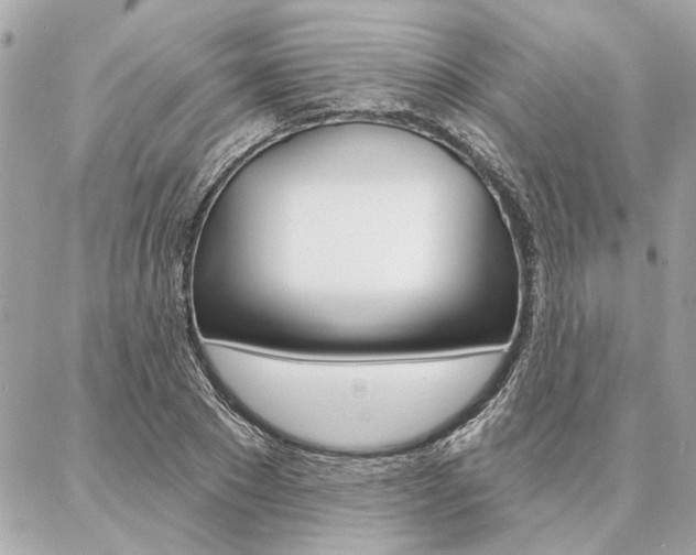 X0000087000881200704161222