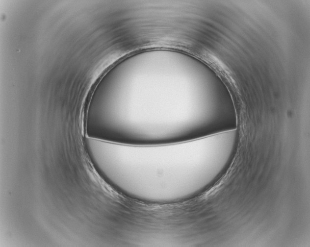 X0000087000892200704161222