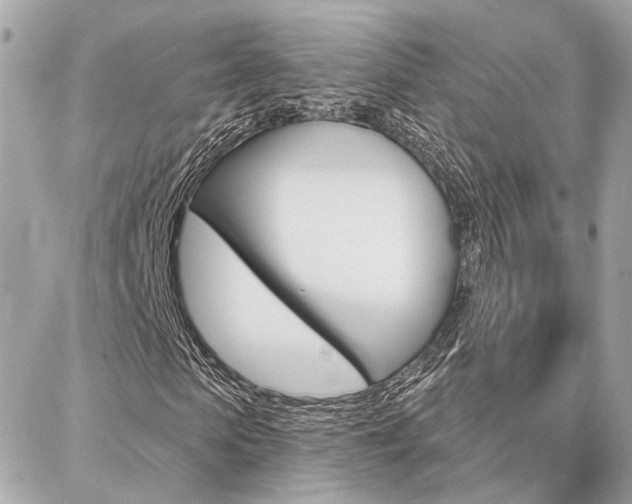 X0000087000913200704161221