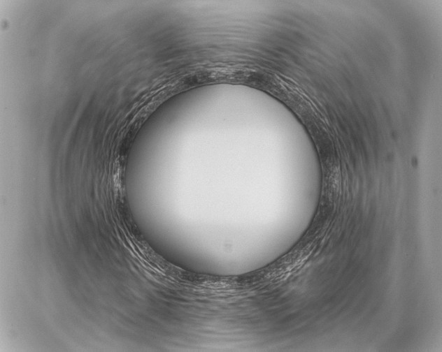 X0000087000914200704161221