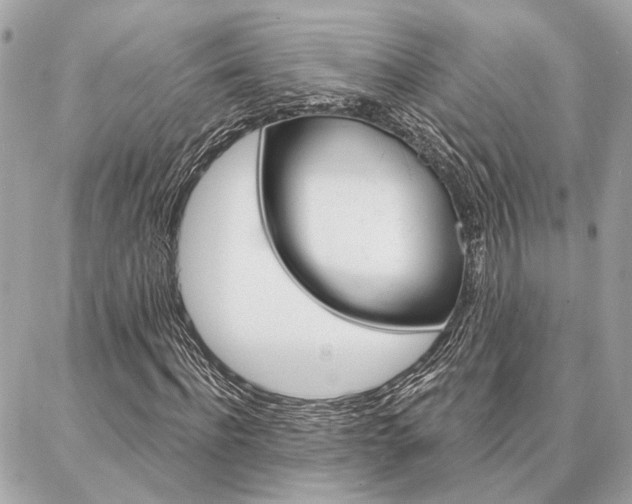 X0000087000916200704161221