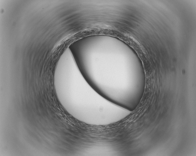 X0000087000919200704161221