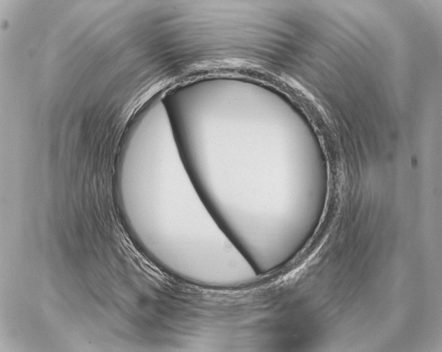 X0000087000921200704161221