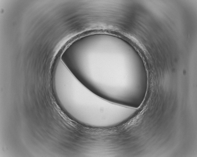 X0000087000927200704161221