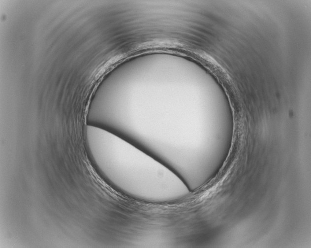 X0000087000929200704161221