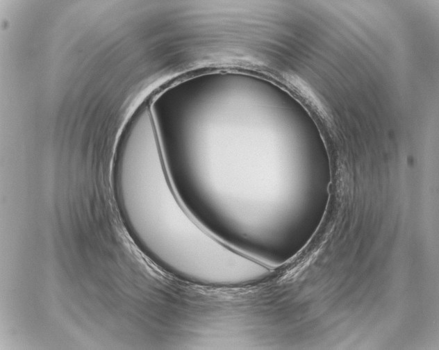 X0000087000932200704161221