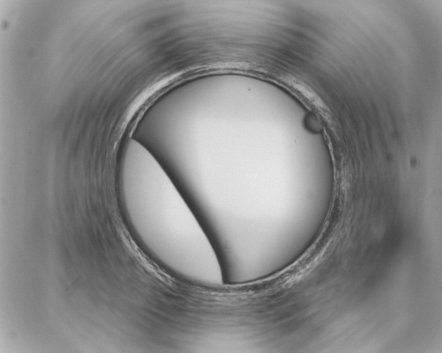 X0000087000933200704161221