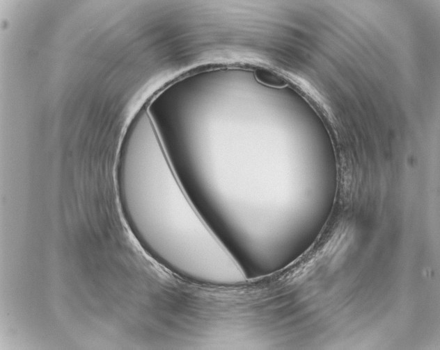 X0000087000943200704161222