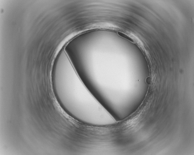 X0000087000947200704161222