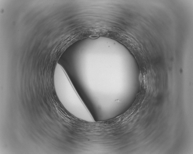 X0000087000963200704161221