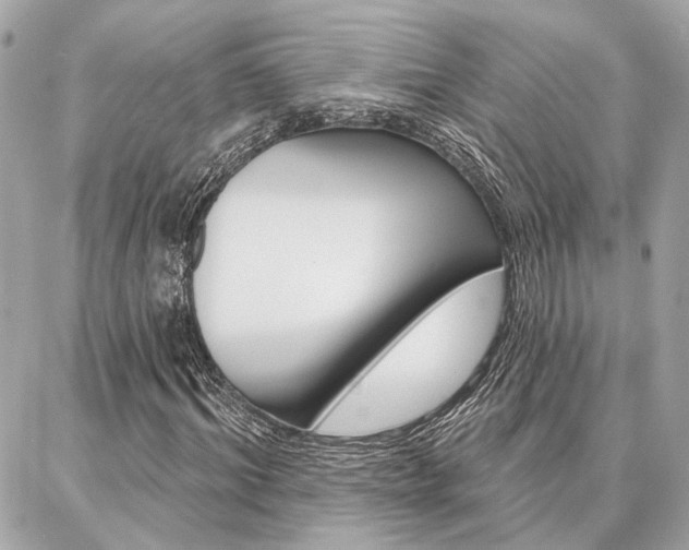 X0000087000964200704161221