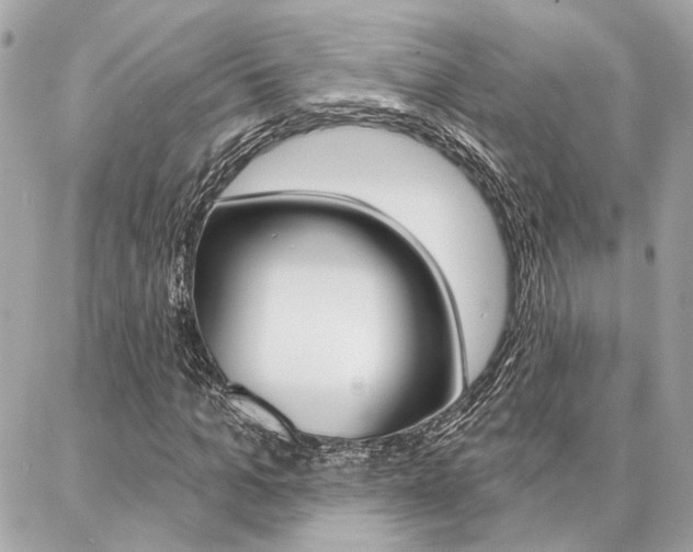 X0000087000965200704161221
