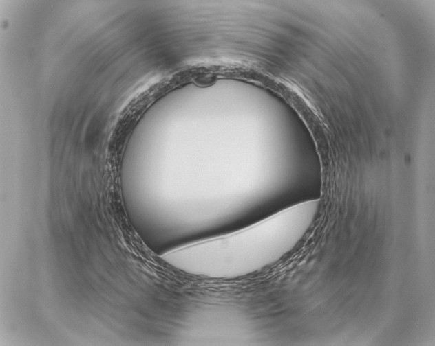X0000087000967200704161221