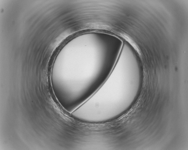 X0000087000972200704161221