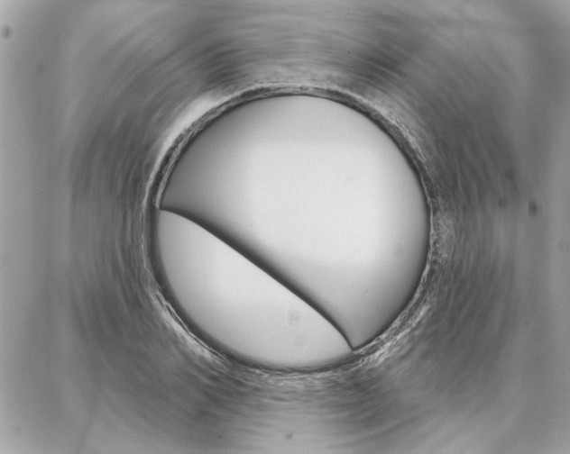 X0000087000982200704161221