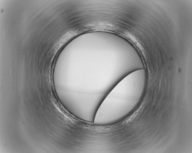 X0000087000986200704161221