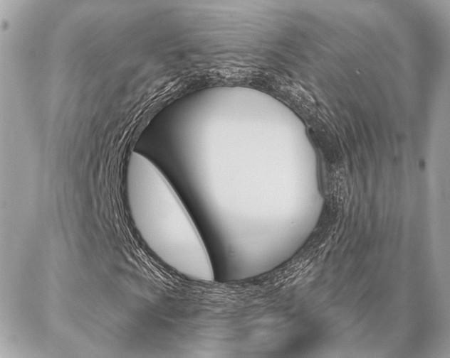 X0000087001009200704161219