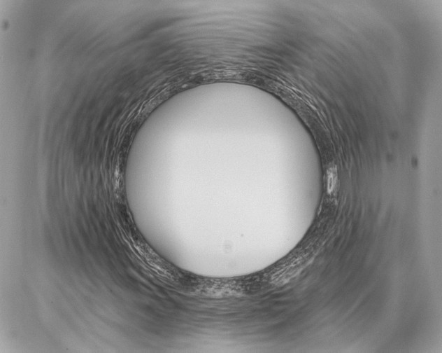 X0000087001011200704161219