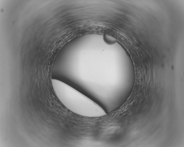 X0000087001013200704161219