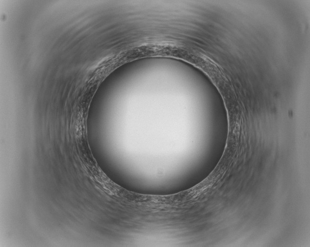 X0000087001014200704161219