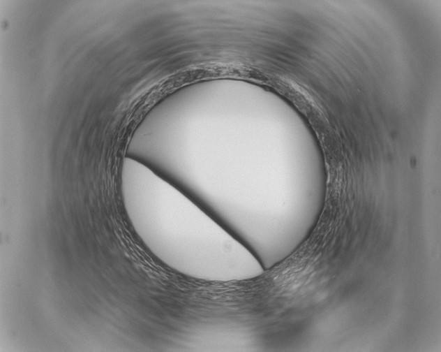 X0000087001015200704161219