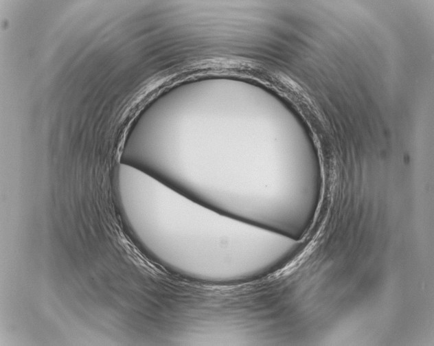 X0000087001017200704161220