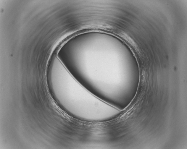X0000087001020200704161220