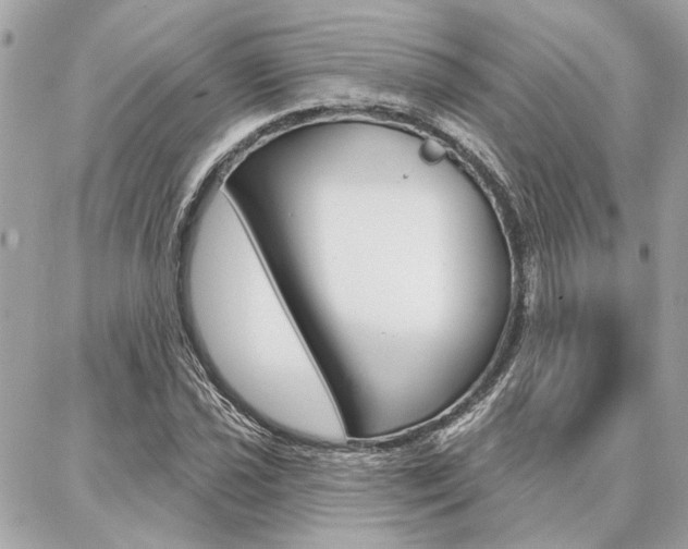 X0000087001021200704161220