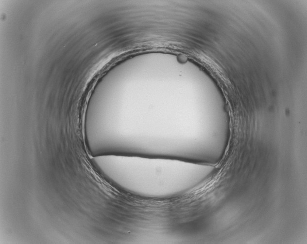 X0000087001023200704161220