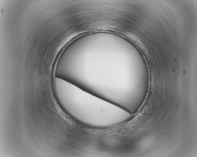 X0000087001031200704161220
