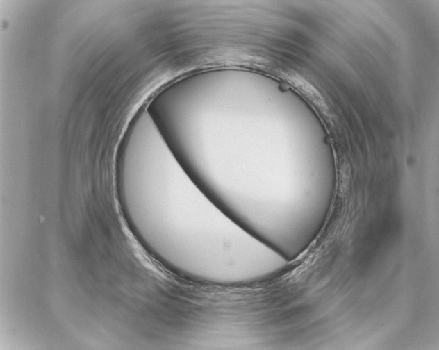 X0000087001039200704161220