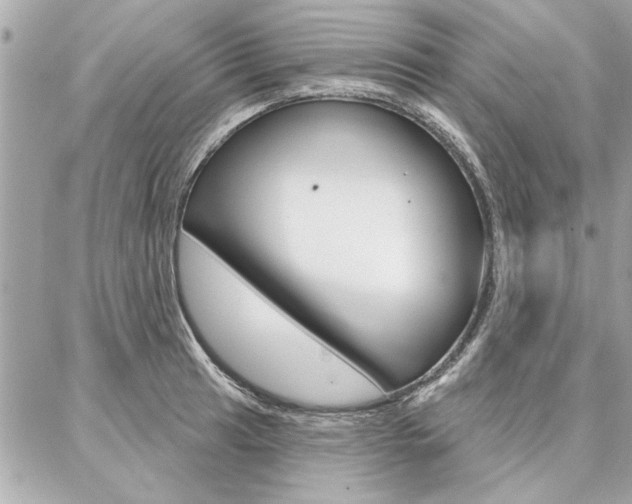 X0000087001041200704161220