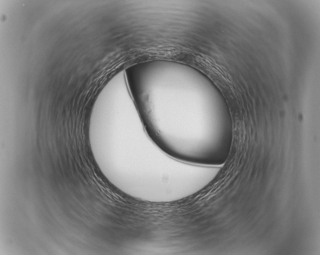 X0000087001058200704161219