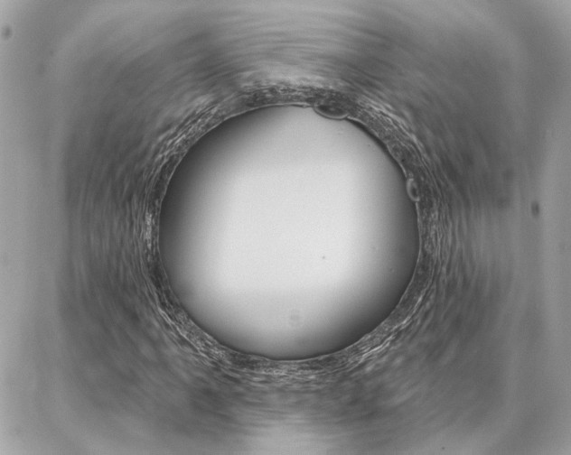 X0000087001061200704161219