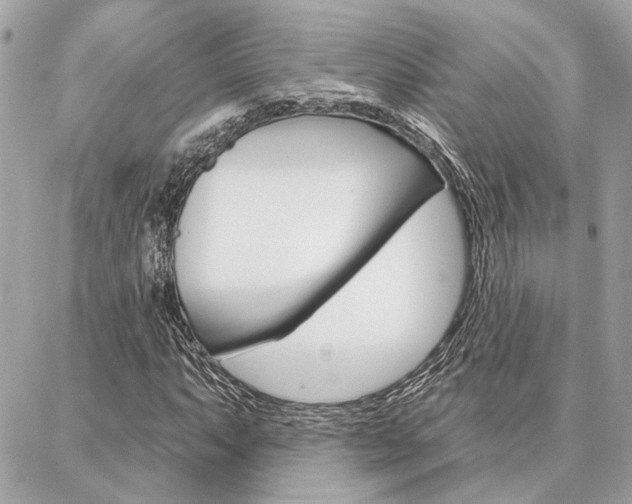 X0000087001063200704161219