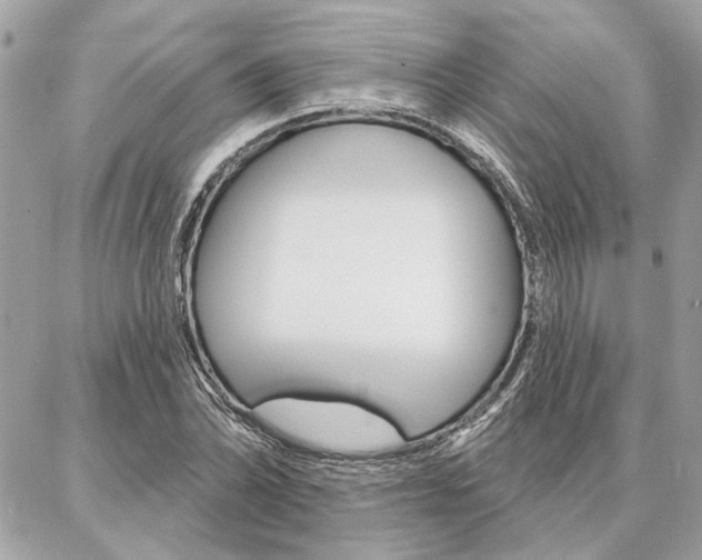 X0000087001070200704161219