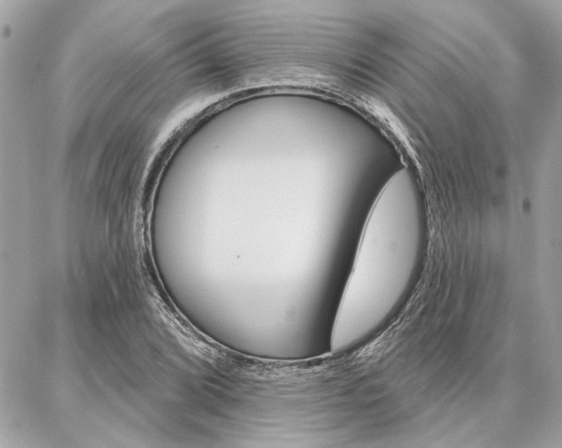X0000087001072200704161219