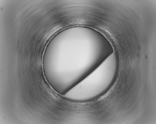 X0000087001073200704161219