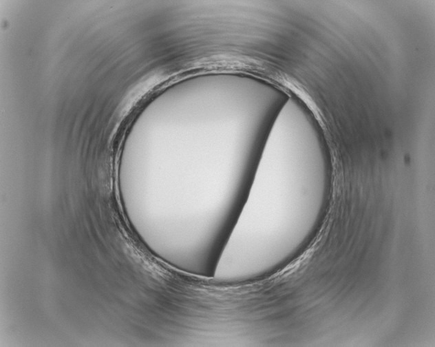 X0000087001075200704161219