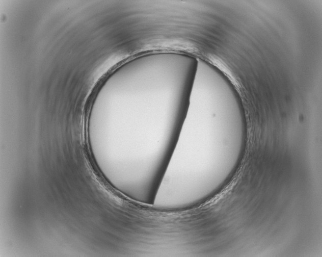 X0000087001079200704161219