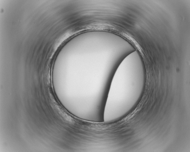 X0000087001083200704161219
