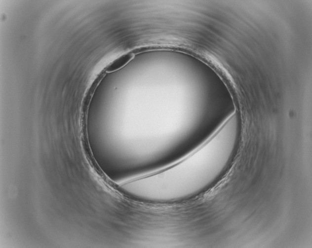 X0000087001085200704161219