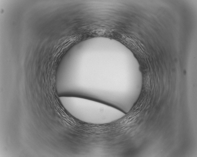 X0000087001105200704161218