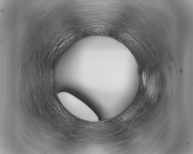 X0000087001107200704161218