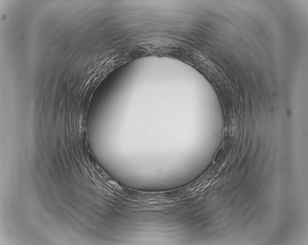 X0000087001108200704161218