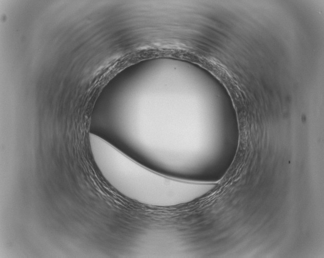 X0000087001110200704161218