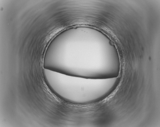 X0000087001121200704161218