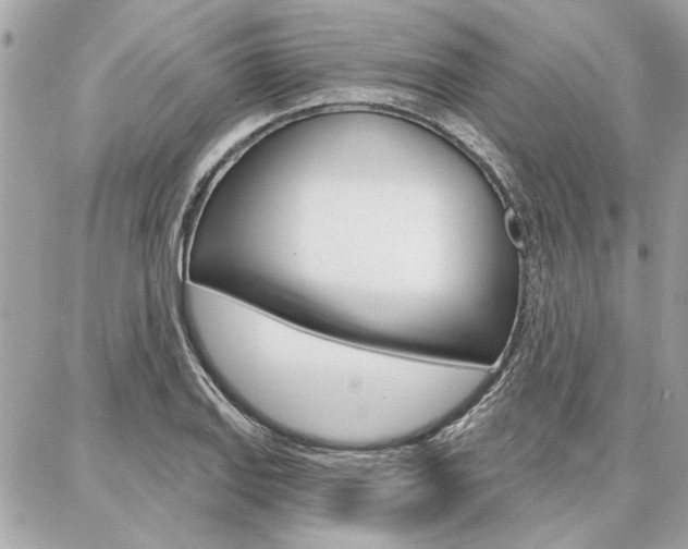 X0000087001127200704161218