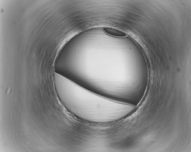 X0000087001145200704161218