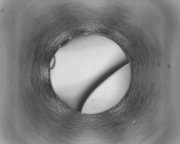 X0000087001155200704161218